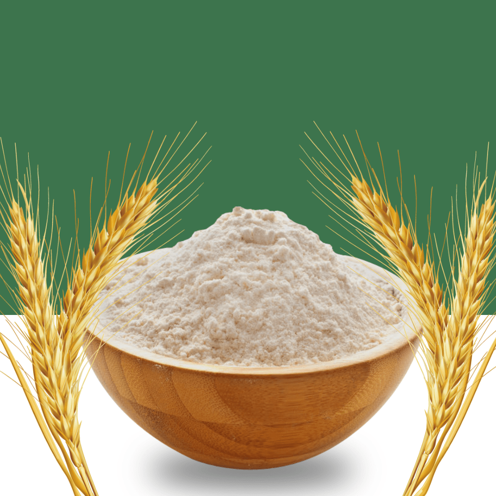 flour mill in chattisgarh
